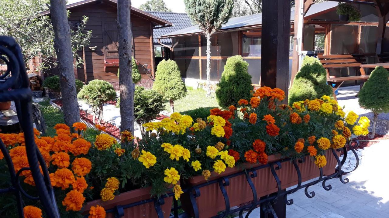 Casa Alberta Ocna Şugatag Extérieur photo
