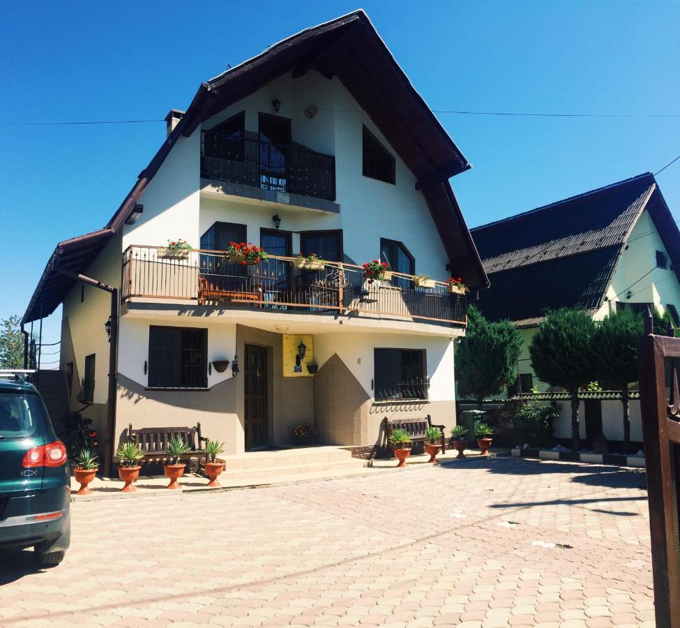 Casa Alberta Ocna Şugatag Extérieur photo