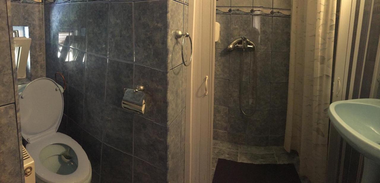 Casa Alberta Ocna Şugatag Extérieur photo